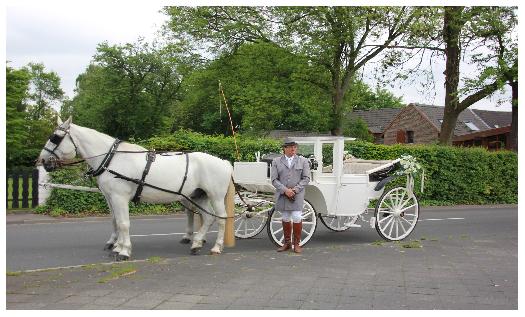 Hochzeitskutsche